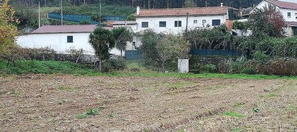 5 bedrooms House in Meinedo, Portugal No. 25125 10