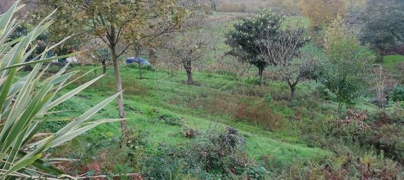 5 bedrooms House in Meinedo, Portugal No. 25125 17