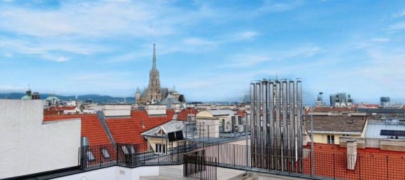 6-Zimmer Penthouse in Wien, Austria, Nr. 126660 7