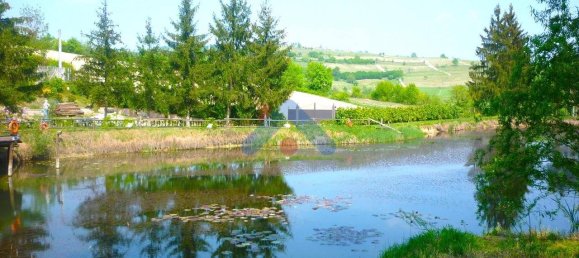 2-Zimmer Gewerbliche Immobilie in Moncucco Torinese, Italy, Nr. 116243 6