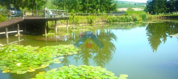 2-Zimmer Gewerbliche Immobilie in Moncucco Torinese, Italy, Nr. 116243 5