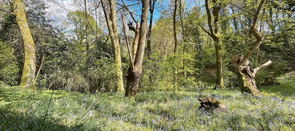 Casa T1 em Morbihan, France N.º 326657 7