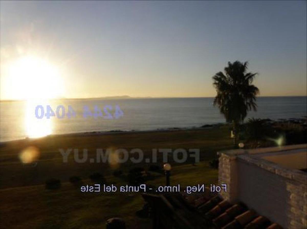 4 bedrooms House in Maldonado, Uruguay No. 12271