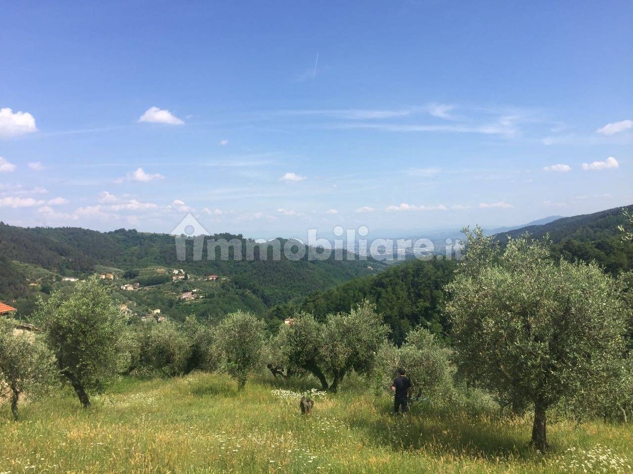  قطعة أرض في Marliana, Italy 65متر مربع رقم 349302