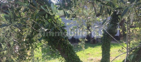 قطعة أرض في Marliana, Italy 65متر مربع رقم 349302 4