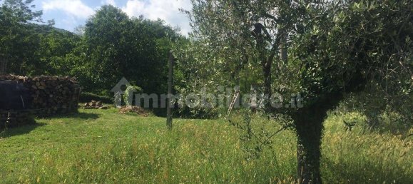 قطعة أرض في Marliana, Italy 65متر مربع رقم 349302 3