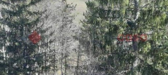 2 bedrooms Apartment in Pescasseroli, Italy No. 278609 10