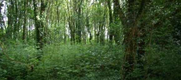 10-salle Maison à Oderzo, Italy No. 215527 10