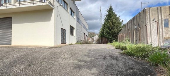 250m² Commercial property in Rende, Italy No. 39260 12