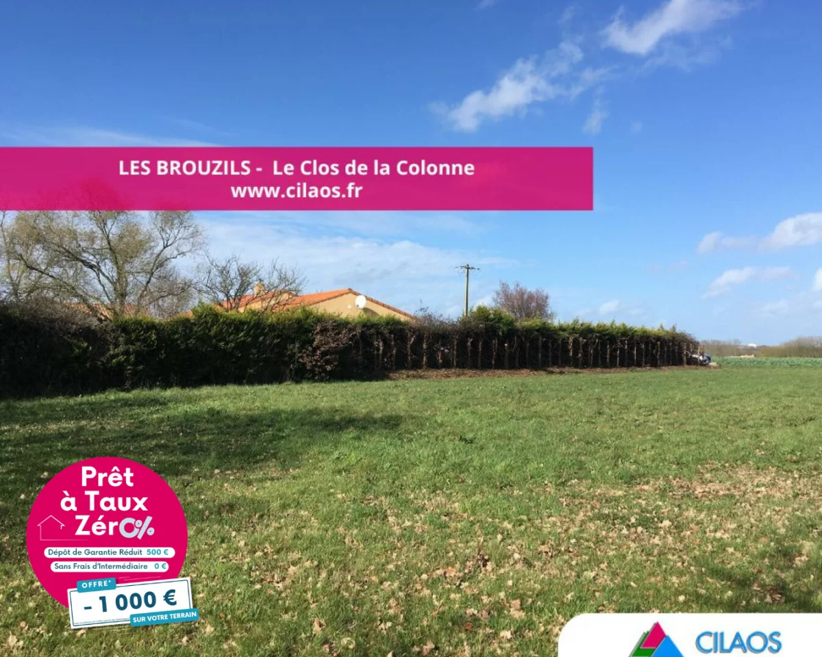  قطعة أرض في Les Brouzils, France 955متر مربع رقم 111402