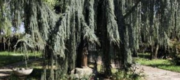 15 rooms Villa in Magenta, Italy No. 5587 6