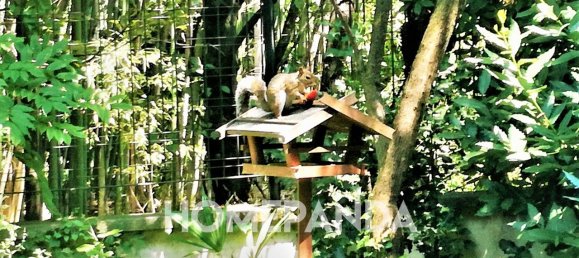 Квартира с 3 комнатами в Сеттимо Миланезе, Италия № 173198 12