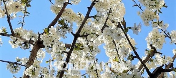 Квартира с 3 комнатами в Сеттимо Миланезе, Италия № 173198 26