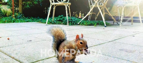 Квартира с 3 комнатами в Сеттимо Миланезе, Италия № 173198 28