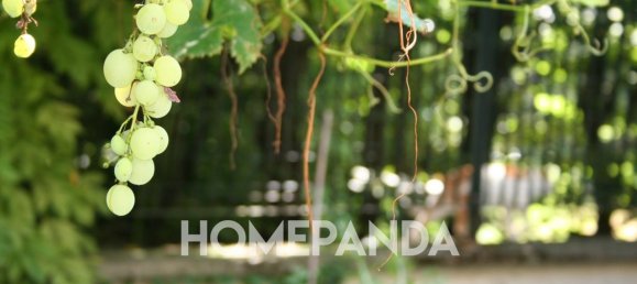 Квартира с 3 комнатами в Сеттимо Миланезе, Италия № 173198 16