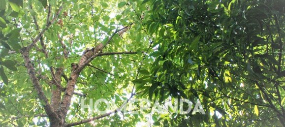 Квартира с 3 комнатами в Сеттимо Миланезе, Италия № 173198 25