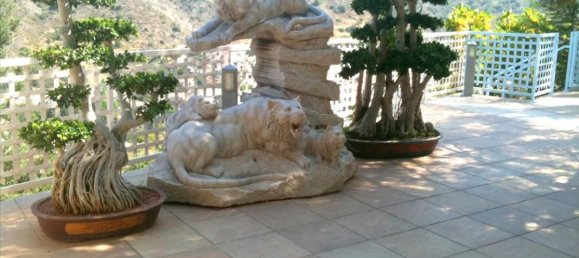 Studio in Limassol, Cyprus No. 1737 4