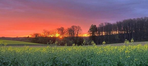 3 rooms Apartment in Ohlsdorf, Austria No. 204454 10