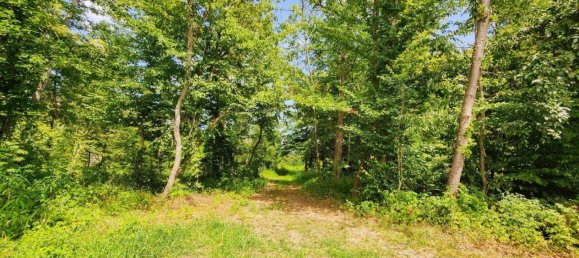 2-Zimmer Haus in Mureck, Austria, Nr. 149235 19