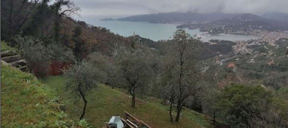 8 chambres Maison à Zoagli, Italy No. 327359 3