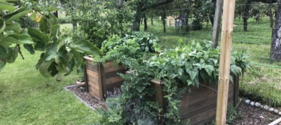 Terrain à Main-Kinzig, Germany No. 263842 2