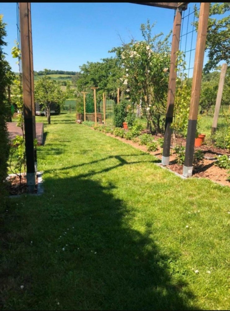 Terrain à Main-Kinzig, Germany No. 263842