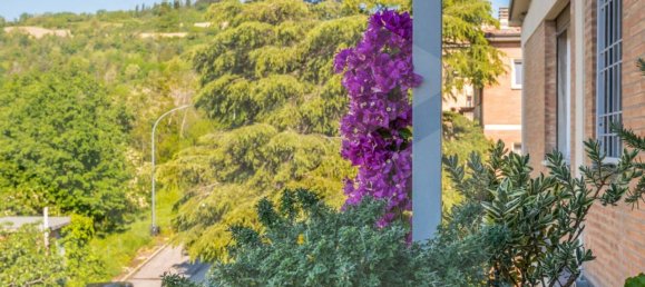 5غرفة شقة في Bologna, Italy رقم 26229 48