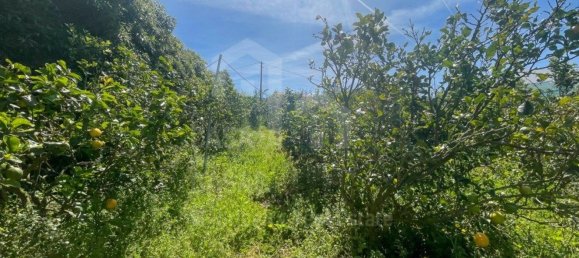 Terreno en Mafra, Portugal 5625 m² No. 69203 9