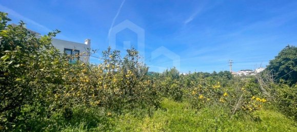 Terreno en Mafra, Portugal 5625 m² No. 69203 7