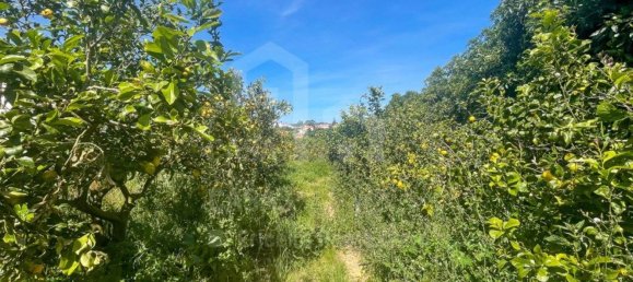 Terreno en Mafra, Portugal 5625 m² No. 69203 6