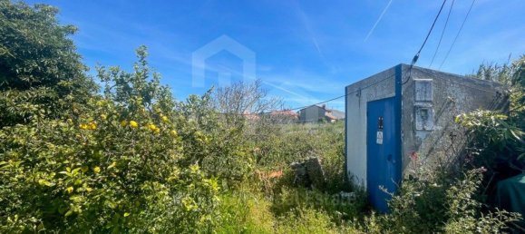 Terreno en Mafra, Portugal 5625 m² No. 69203 5