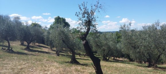 Terreno em Rignano Flaminio, Italy N.º 376406 4