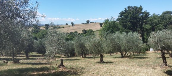 Terreno em Rignano Flaminio, Italy N.º 376406 7