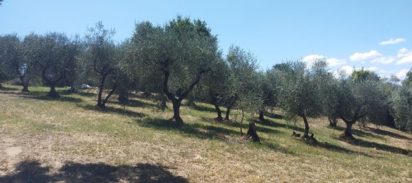 Terreno em Rignano Flaminio, Italy N.º 376406 5