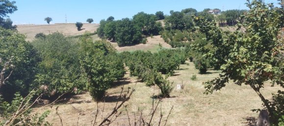 Terreno em Rignano Flaminio, Italy N.º 376406 2