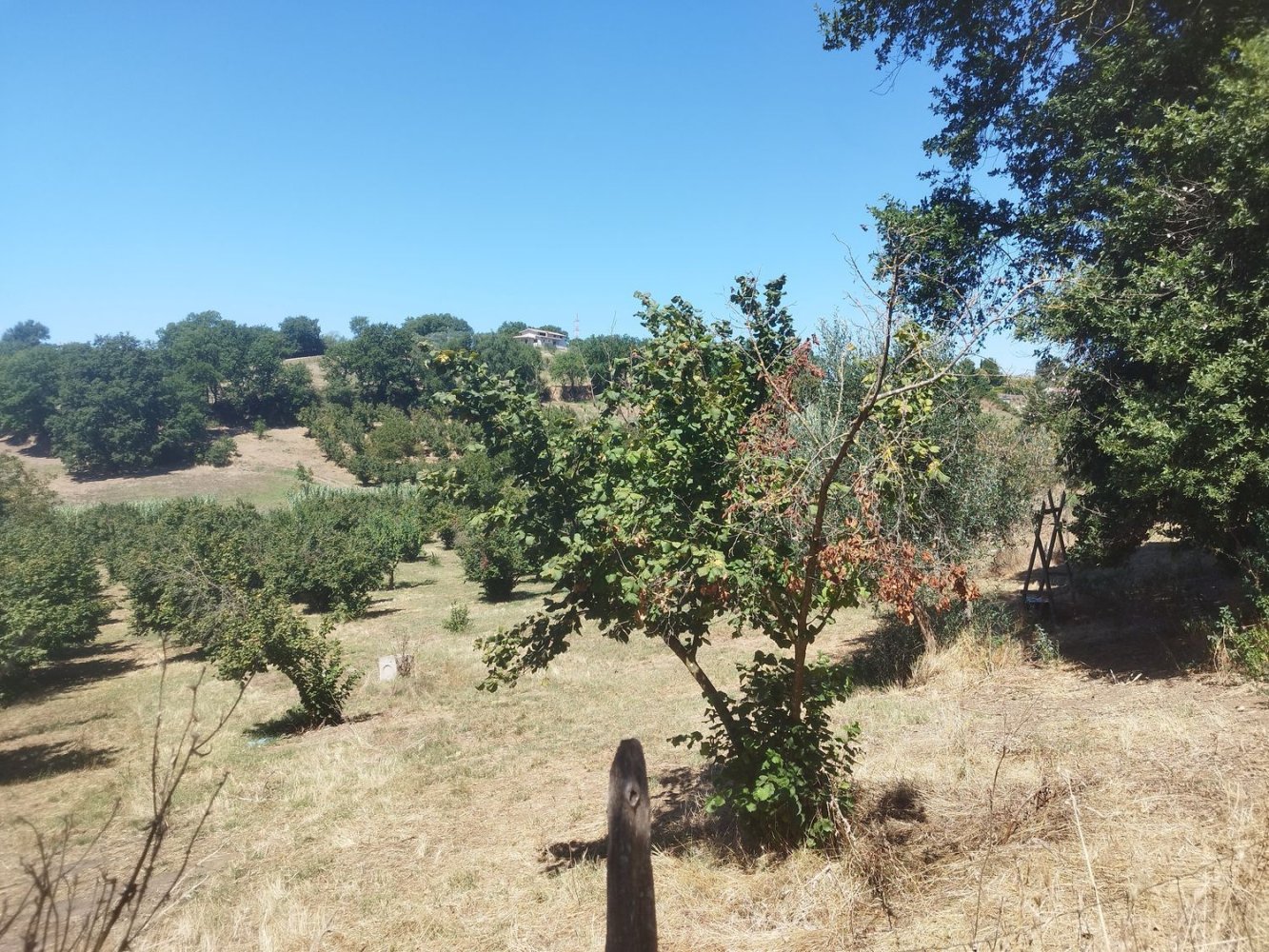 Terreno em Rignano Flaminio, Italy N.º 376406