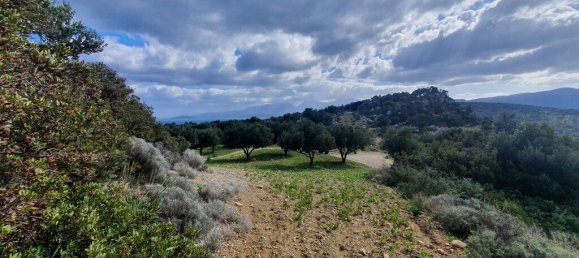 4790m² hôtel à vendre à Agios Nikolaos, Lasithi, Crete, Greece № 3703 4