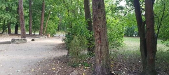 2-Zimmer Wohnung in Darmstadt, Germany, Nr. 347431 16