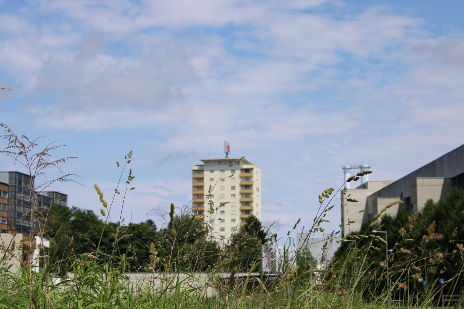 Terreno en Liebenau, Austria No. 214073