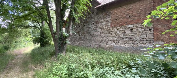 3 chambres Maison à Kyffhauserkreis, Germany No. 319038 9