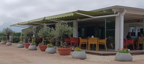  عقار تجاري في Badesi, Italy 5000متر مربع رقم 257237 15