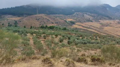 1 bedroom House in Malaga, Spain No. 262904