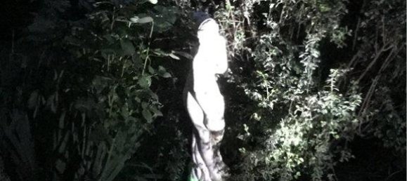 6 chambres Villa à Dordogne, France No. 38170 5