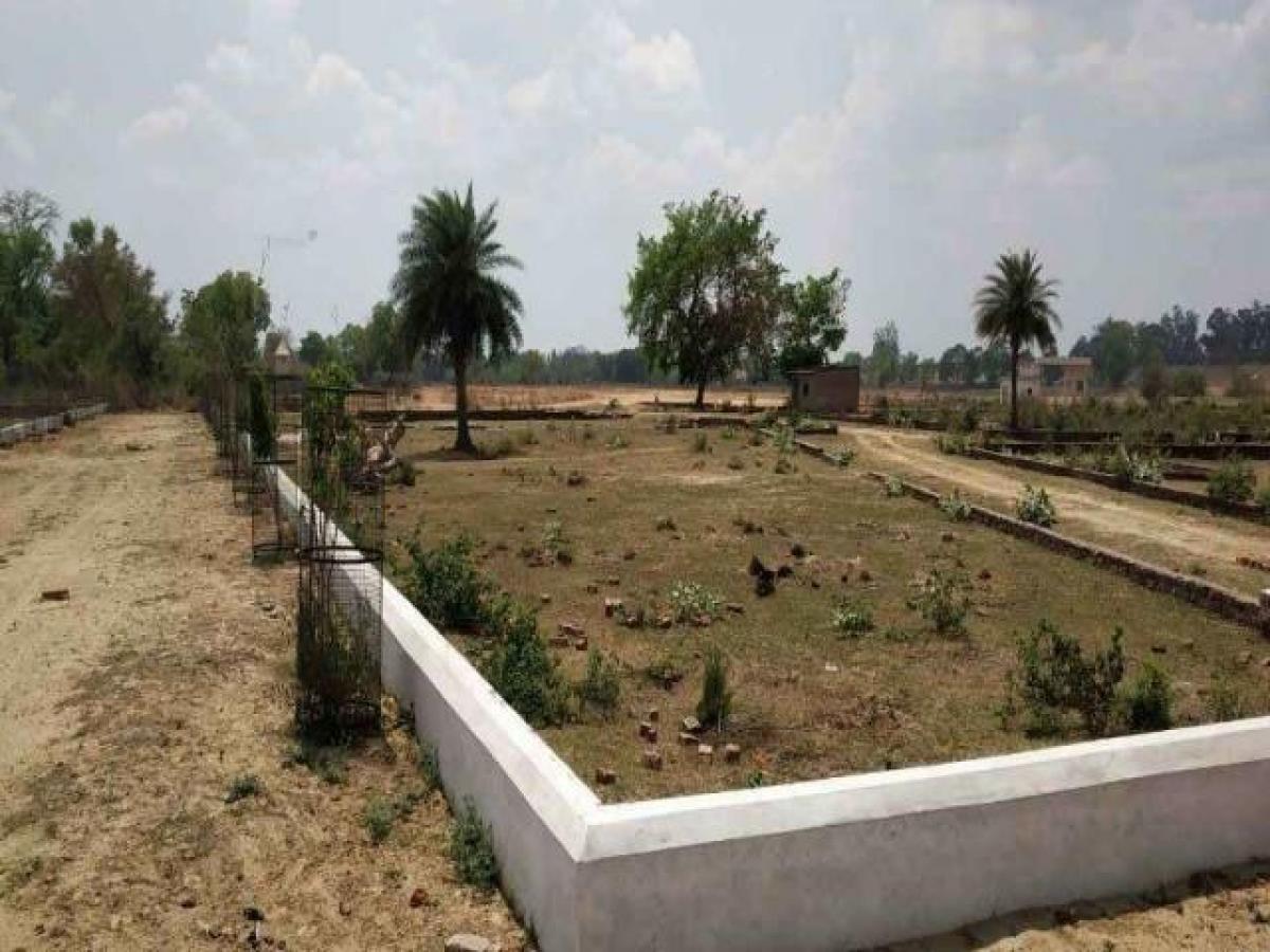  Land in Lucknow, India No. 31640