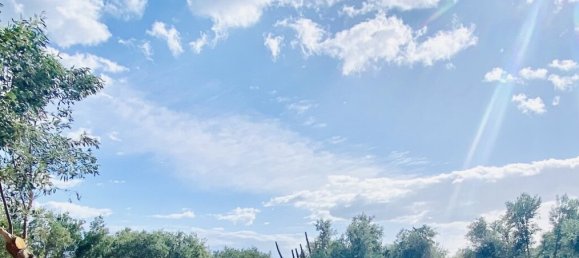 3 bedrooms Villa in Laconia, Greece No. 92799 3