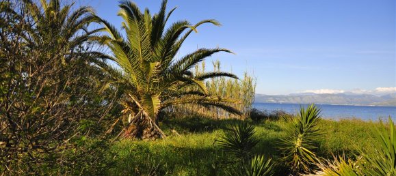 7800 m² hotel en venta en Corfu, Central Corfu and Diapontian Islands, Corfu, Ionian Islands, Peloponnese, Western Greece and the Ionian, Greece № 7918 6