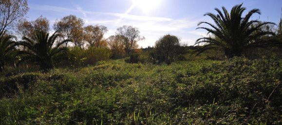 7800m² Hotel in Corfu, Greece No. 7918 4