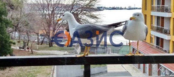 2 bedrooms Apartment in Nesebar, Bulgaria No. 859 27