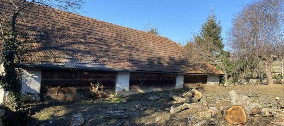 5-Zimmer Haus in Oberschützen, Austria, Nr. 125035 19