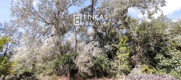 Дом с 3 спальнями в Тортоса, Испания № 49511 13